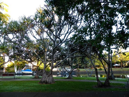 Cascade Gardens